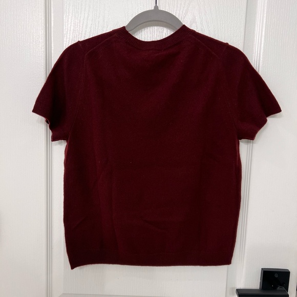 Quince Cashmere Tee - Picture 2 of 6